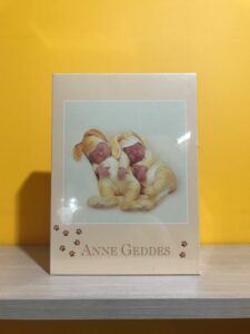 SCHMIDT PUZZLE 1000 PIEZAS ANNE GEDDES 562X562MM