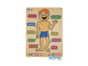ANDREU TOYS ENAJABLE CUERPO HUMANO