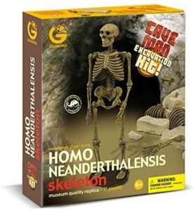 GEOWORLD  HOMO NEANDERTHALENSIS SKELETON 11 PIEZAS +6 AÑOS