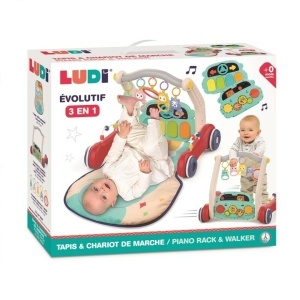 Ludi Carrito y alformbra para caminar